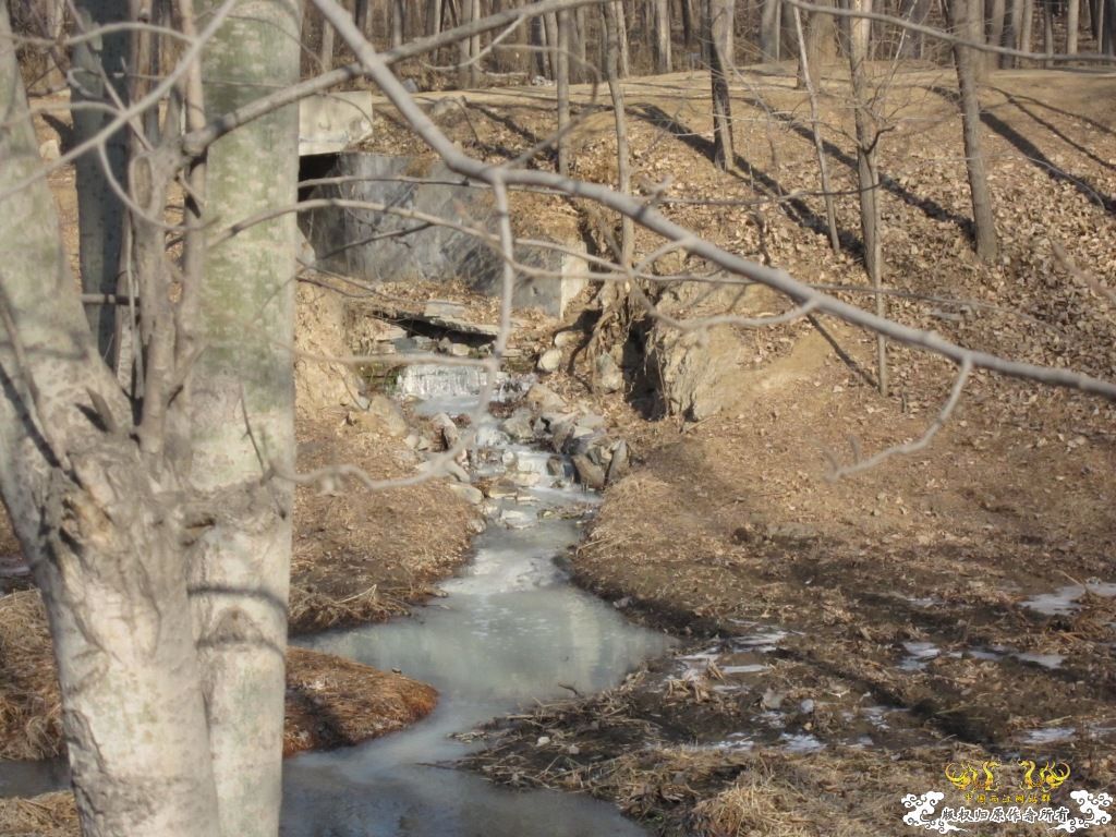 黑镜头—丑态+病态