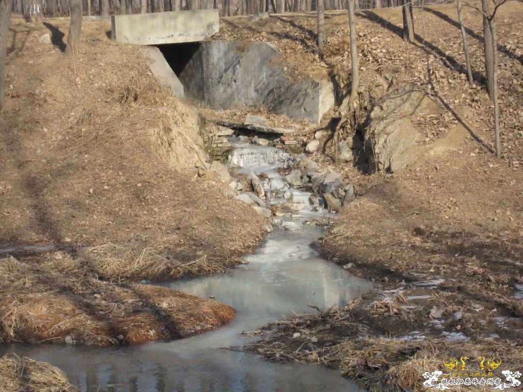 黑镜头—丑态+病态