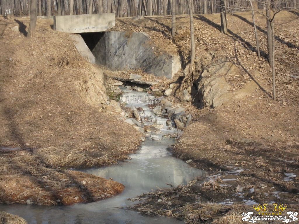 黑镜头—丑态+病态