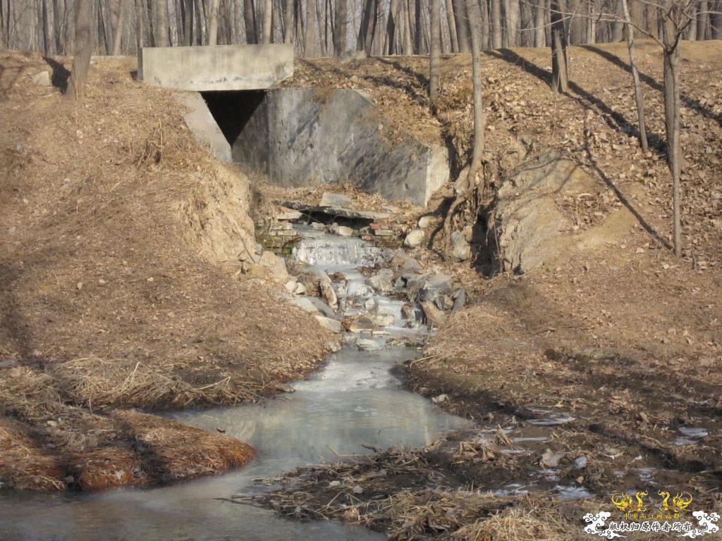 黑镜头—丑态+病态