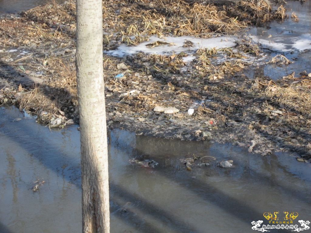 黑镜头—丑态+病态