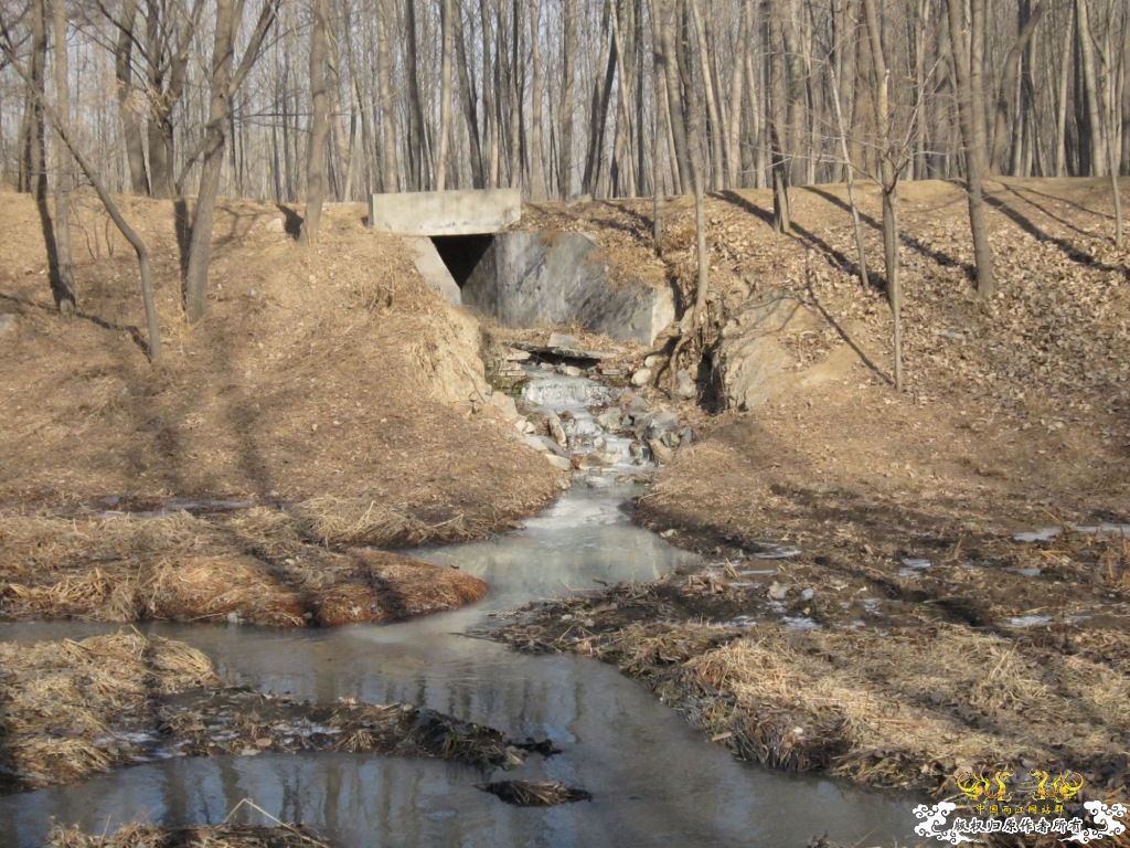 黑镜头—丑态+病态