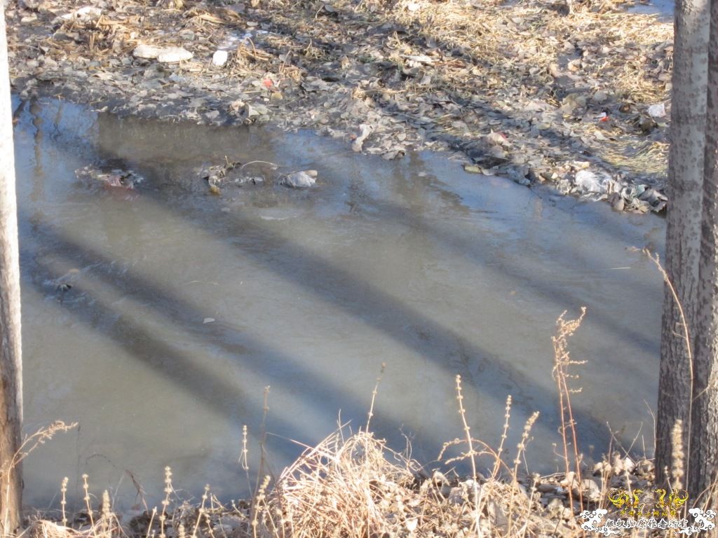 黑镜头—丑态+病态