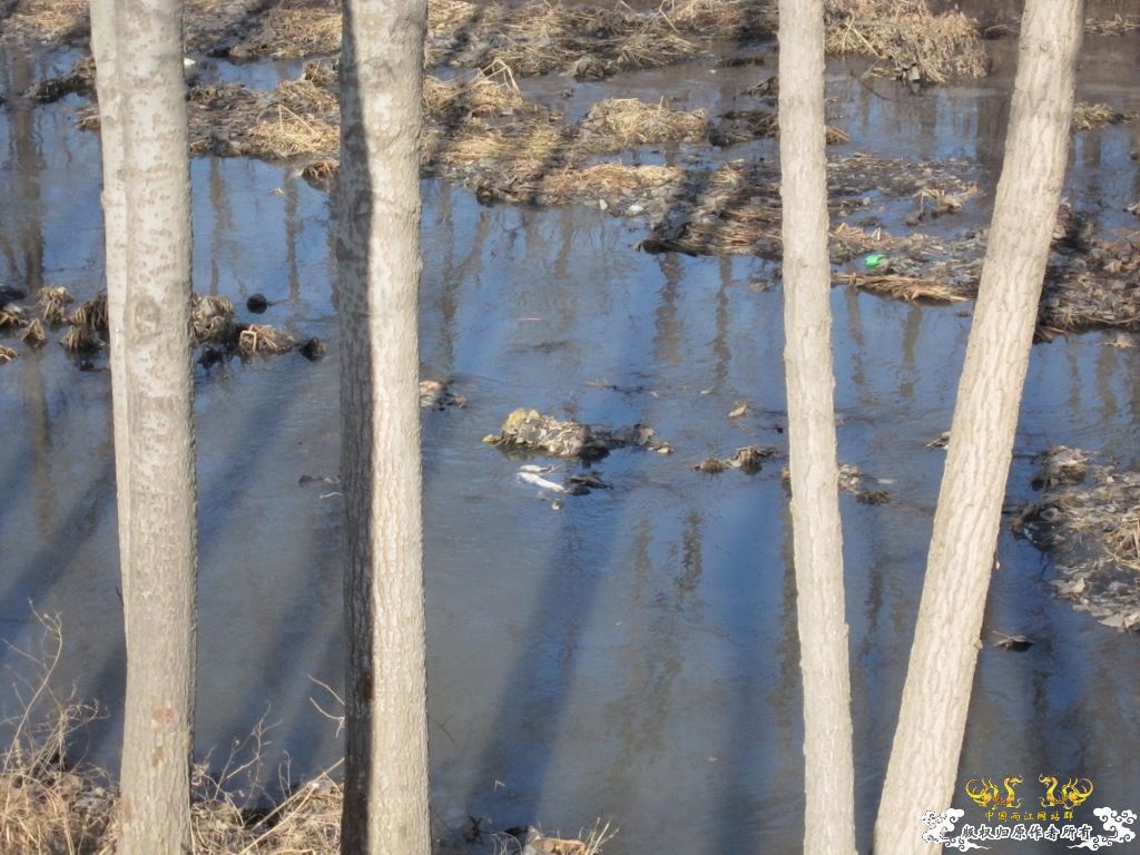 黑镜头—丑态+病态