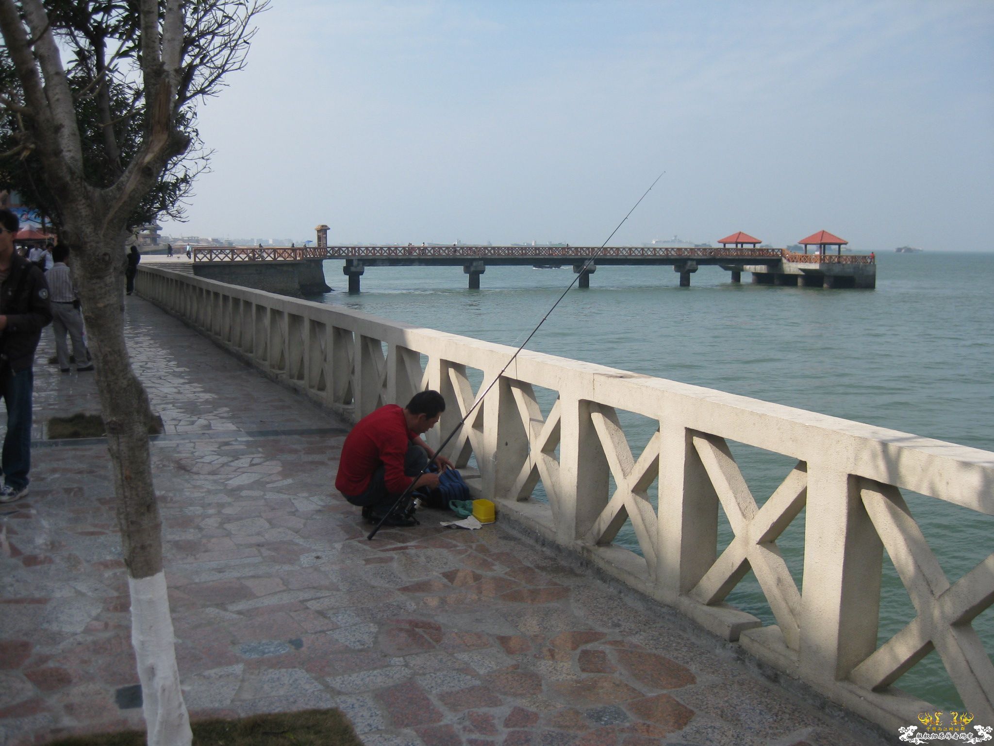 看看这是什么鱼？