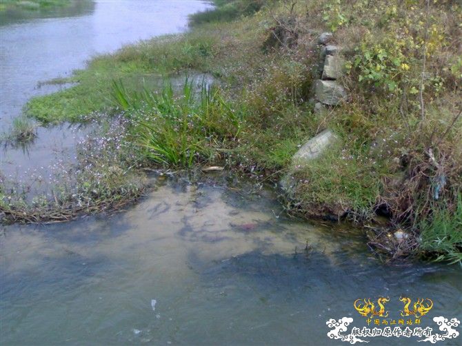 [原创]天冷不宜野采，发几张图吧