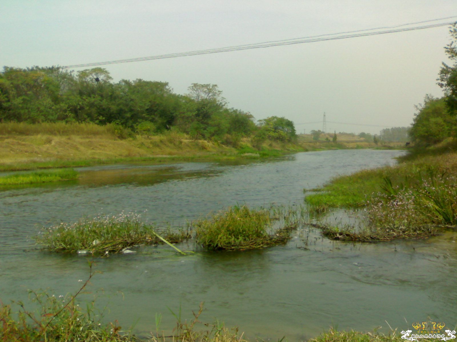 [原创]天冷不宜野采，发几张图吧