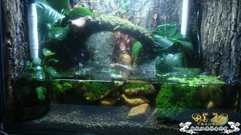 快过元旦了·········发发家底