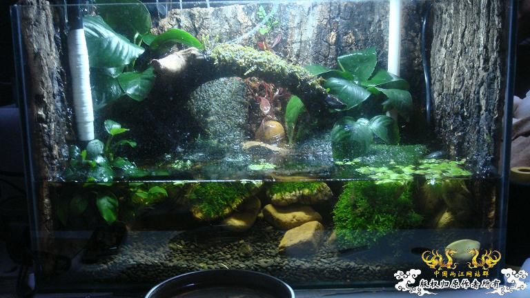 快过元旦了·········发发家底