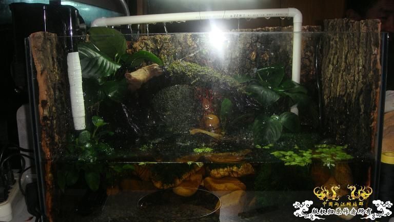 快过元旦了·········发发家底