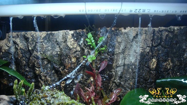 快过元旦了·········发发家底