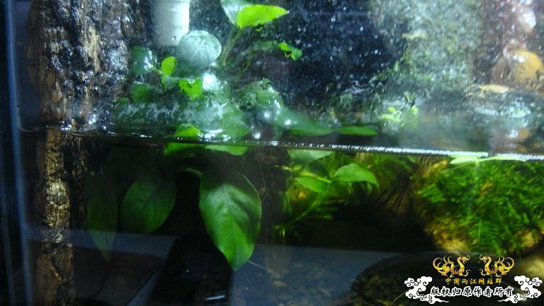 快过元旦了·········发发家底