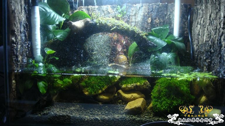 快过元旦了·········发发家底