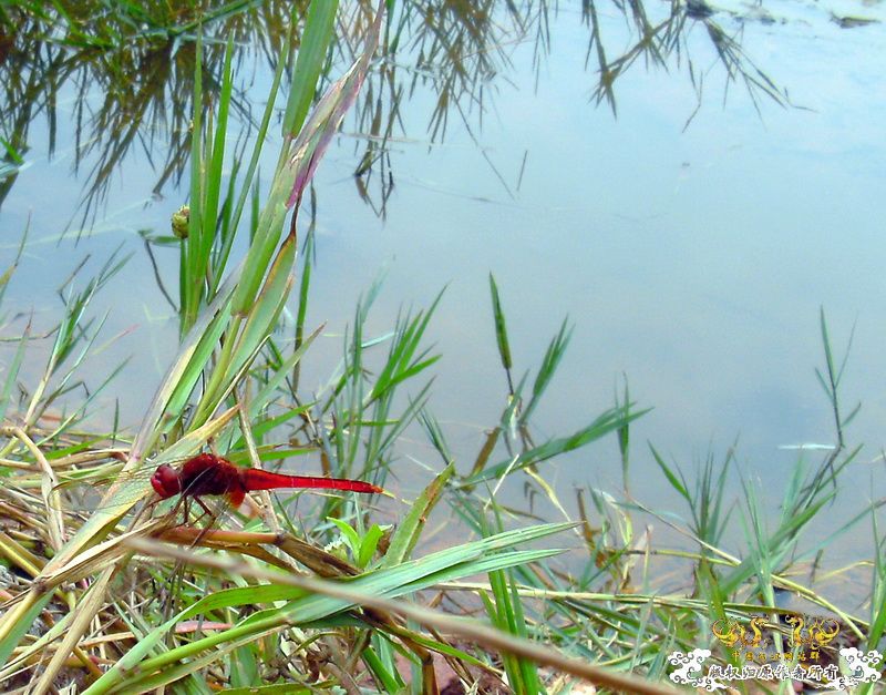 [原创]今年要过去了，整上来
