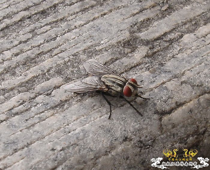 [原创]今年要过去了，整上来