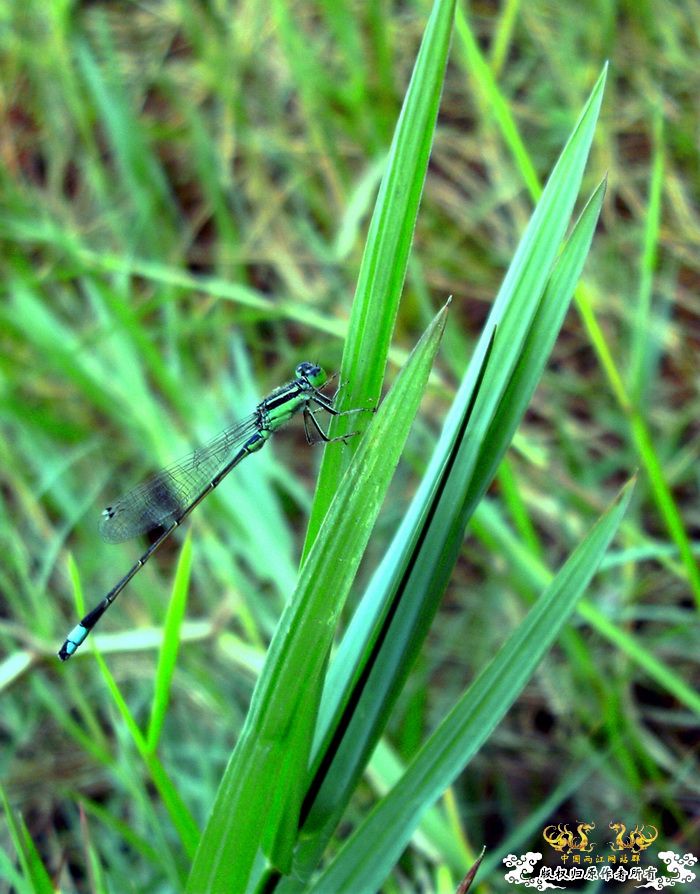 [原创]今年要过去了，整上来