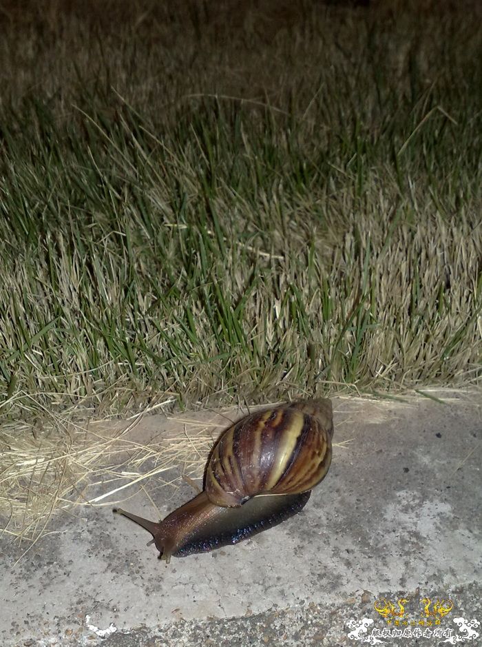 [原创]今年要过去了，整上来