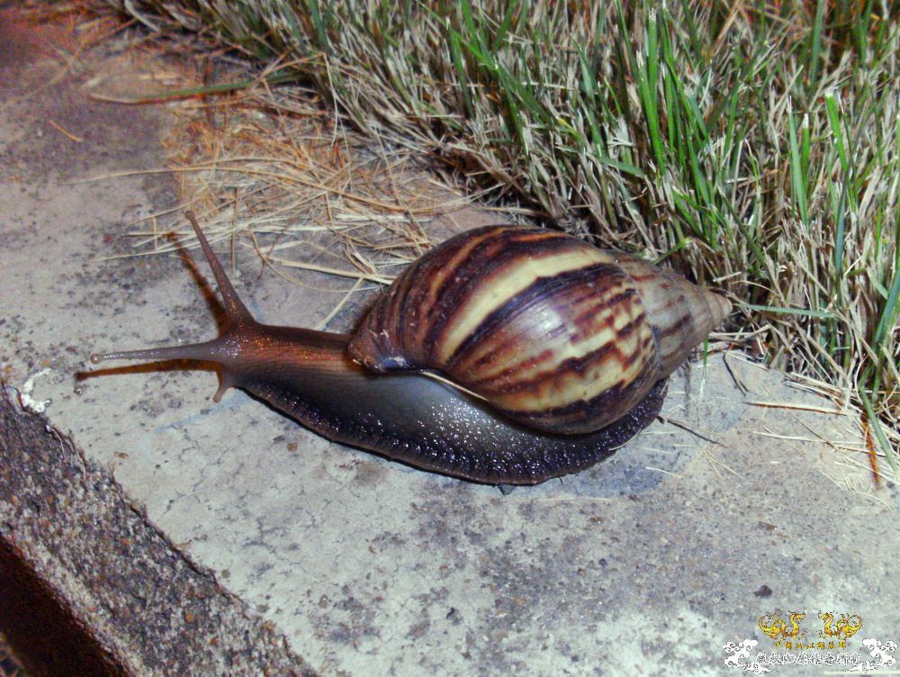 [原创]今年要过去了，整上来