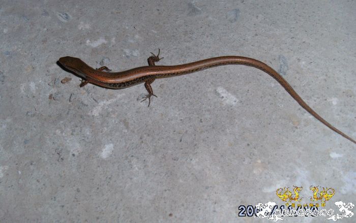 [原创]今年要过去了，整上来