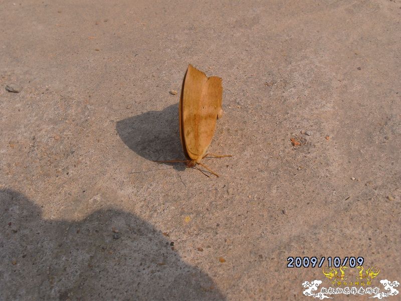 [原创]今年要过去了，整上来