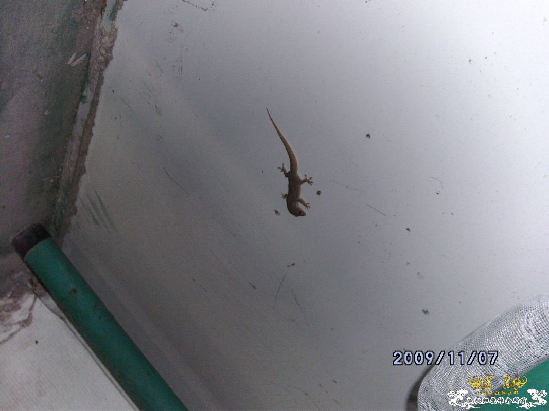 [原创]今年要过去了，整上来