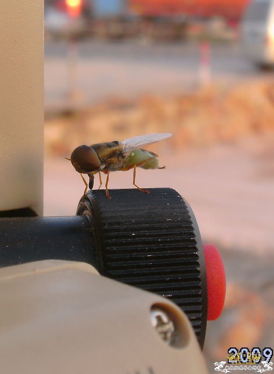 [原创]今年要过去了，整上来