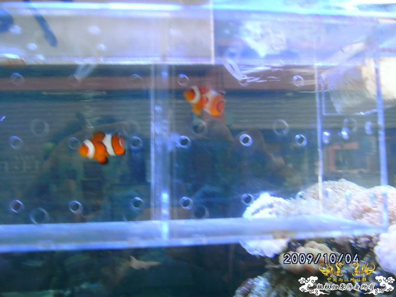 [原创]今年要过去了，整上来