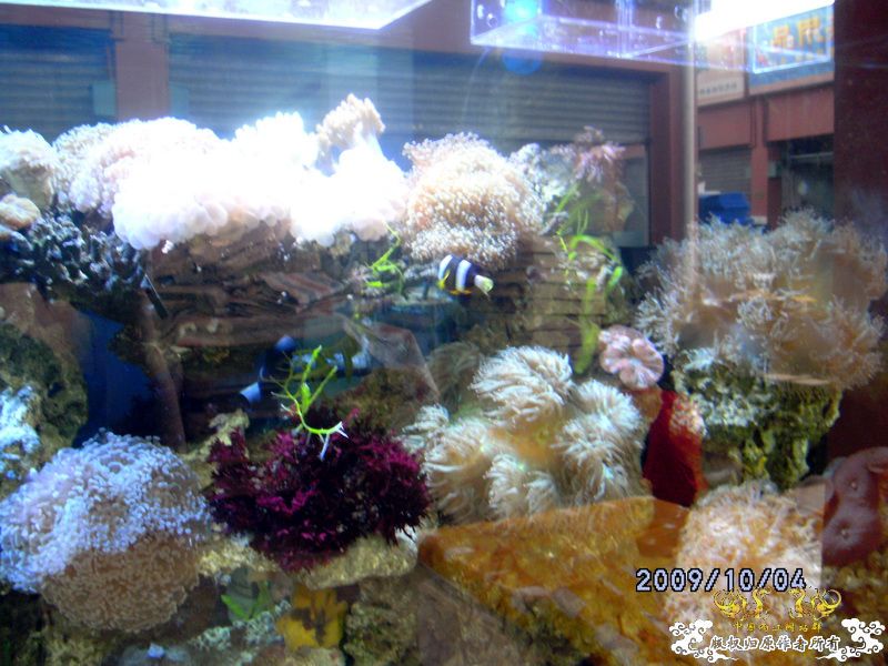 [原创]今年要过去了，整上来