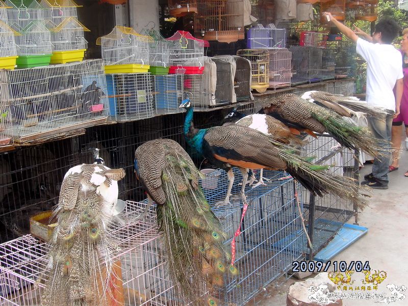 [原创]今年要过去了，整上来