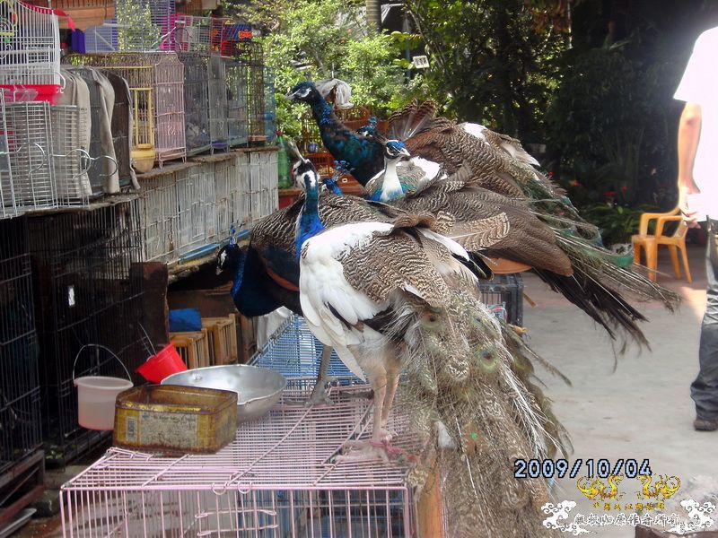 [原创]今年要过去了，整上来