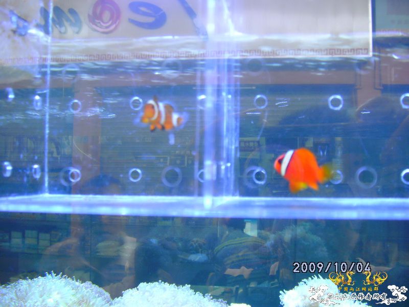 [原创]今年要过去了，整上来