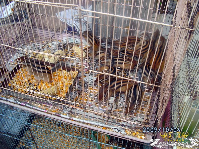 [原创]今年要过去了，整上来