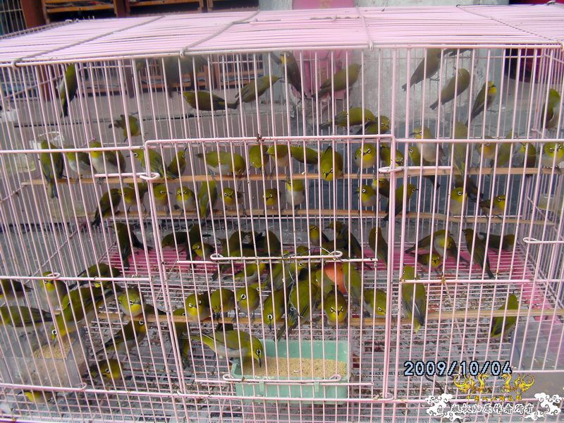 [原创]今年要过去了，整上来