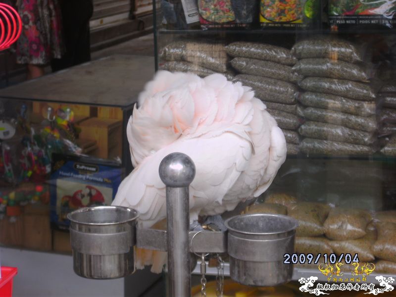 [原创]今年要过去了，整上来