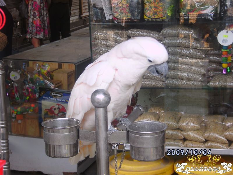 [原创]今年要过去了，整上来