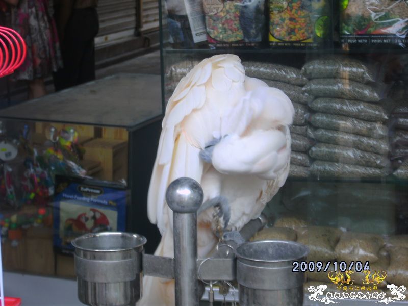 [原创]今年要过去了，整上来