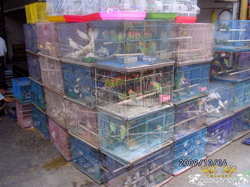 [原创]今年要过去了，整上来