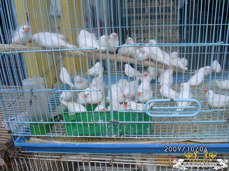 [原创]今年要过去了，整上来