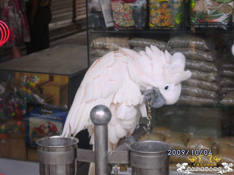 [原创]今年要过去了，整上来