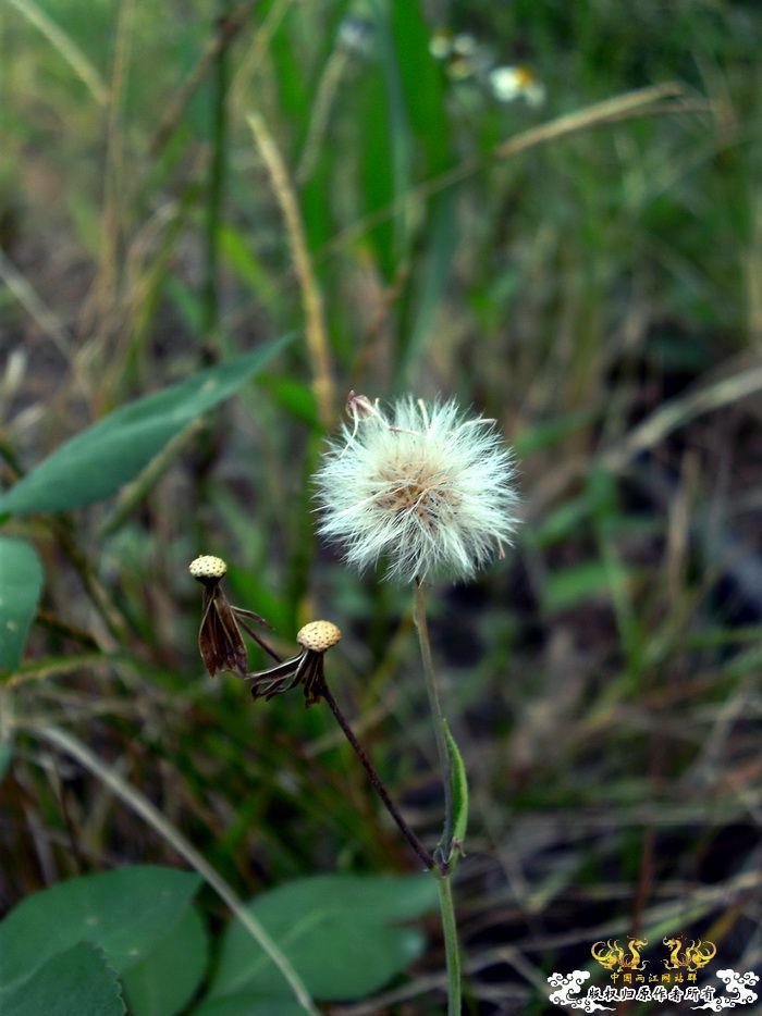 [原创]今年要过去了，整上来