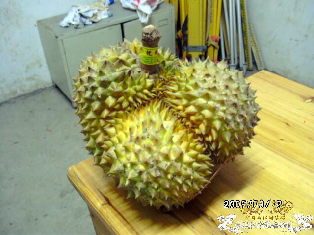 [原创]今年要过去了，整上来