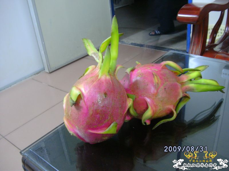 [原创]今年要过去了，整上来