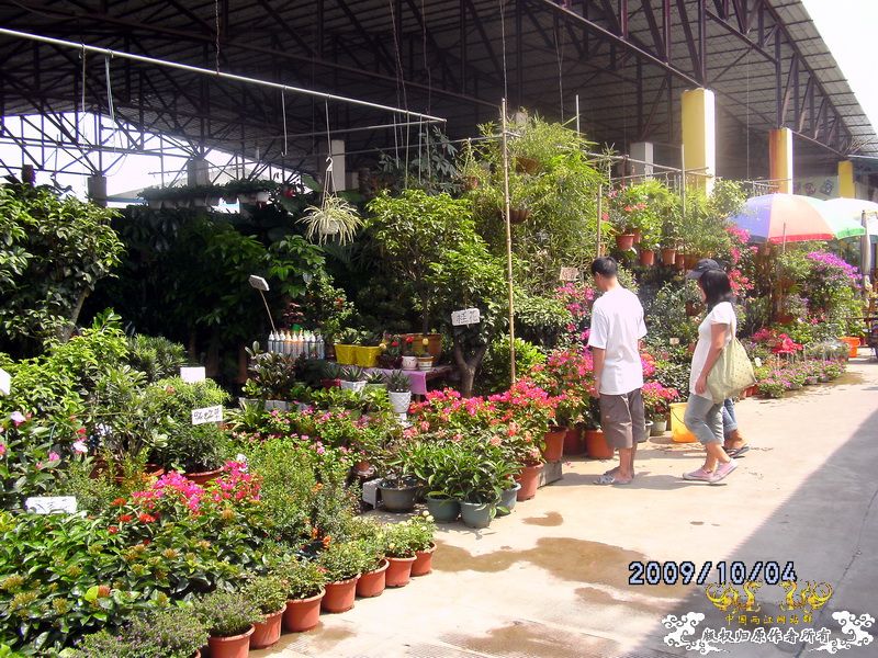 [原创]今年要过去了，整上来