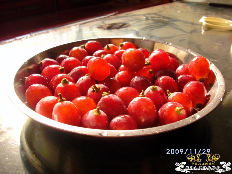 [原创]今年要过去了，整上来