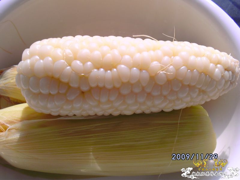 [原创]今年要过去了，整上来