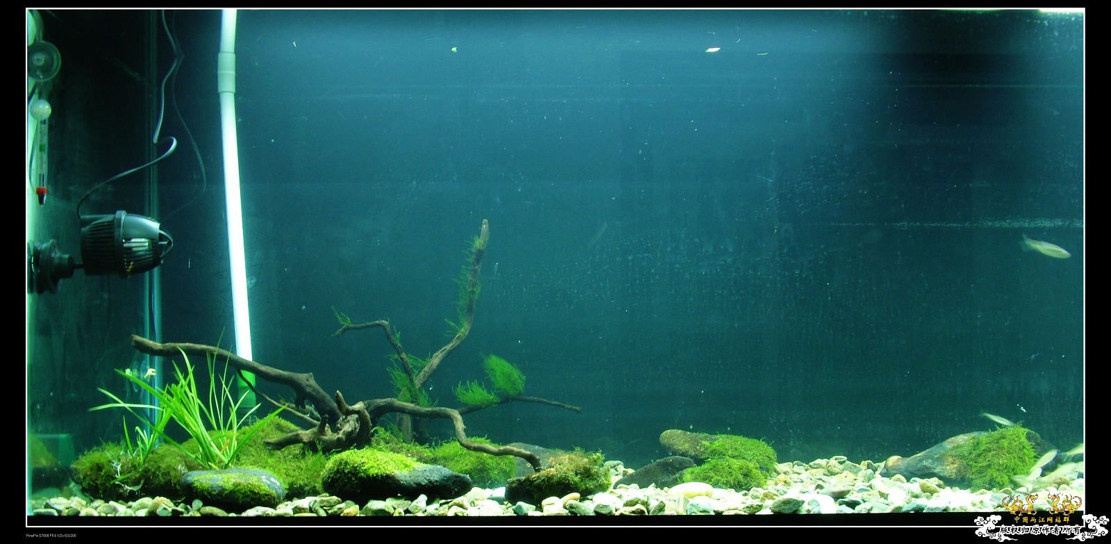 210*60*70，12月7更新！！初景