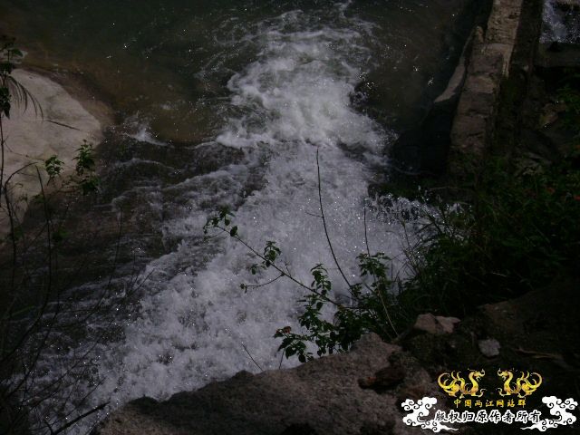 HCo8h82d.jpg