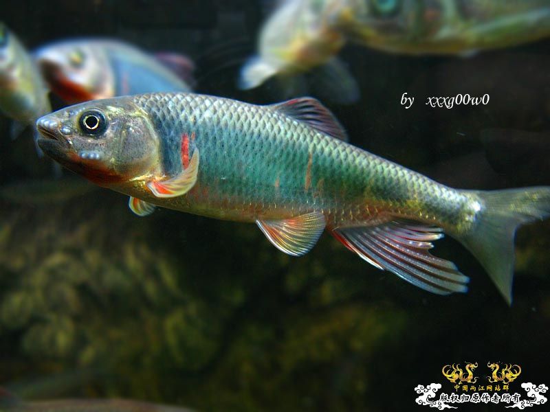 BGUbSIr5.jpg