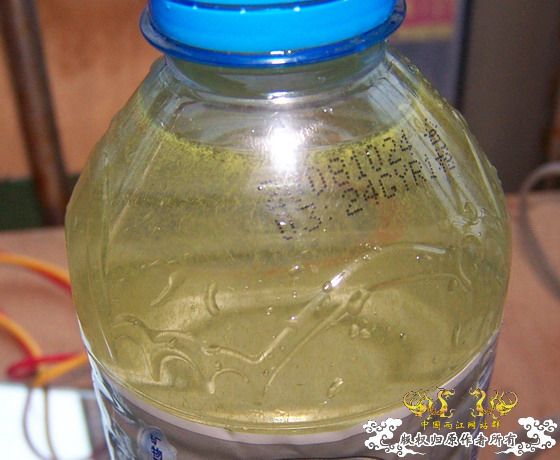 褐吻卵的秘密