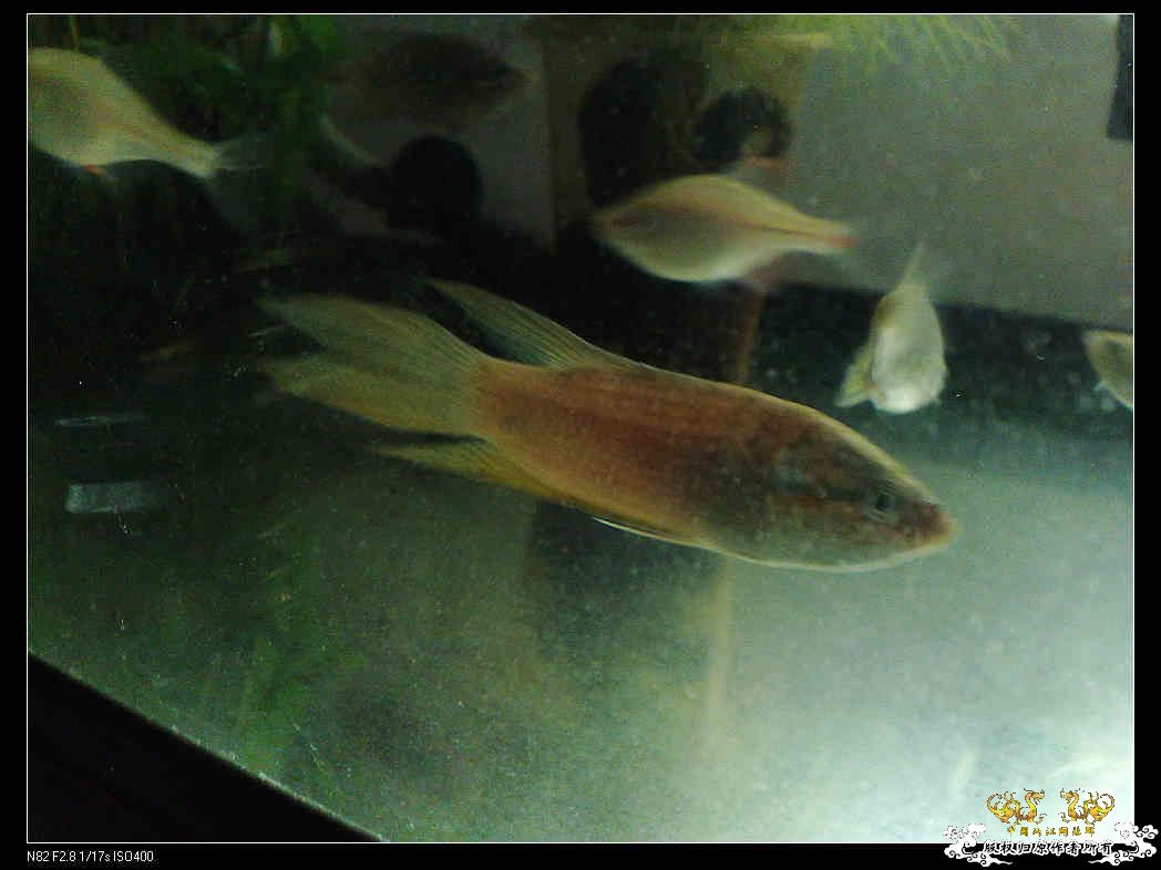 日常生活一刻,色香味